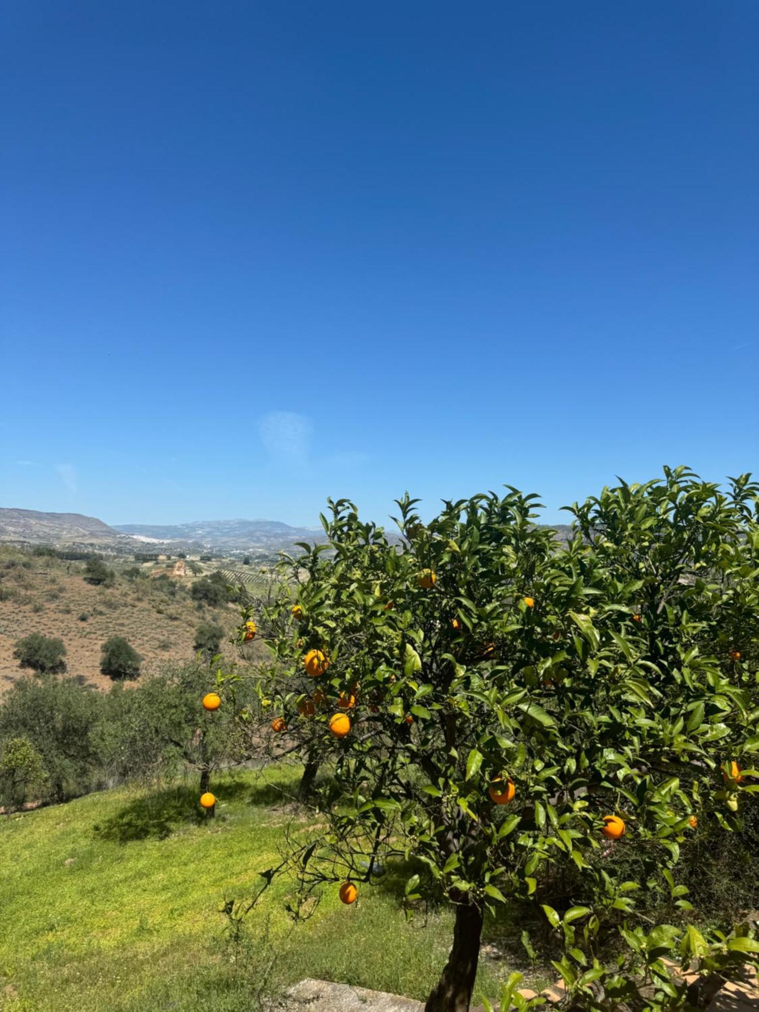 Santa Teresa Bed & Breakfast Andalusien 피자라 외부 사진