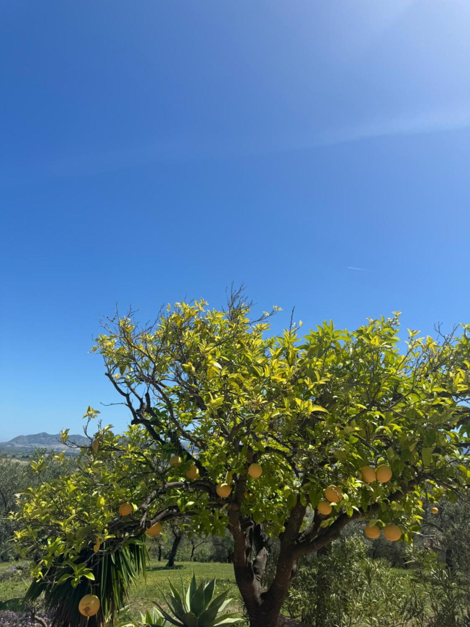 Santa Teresa Bed & Breakfast Andalusien 피자라 외부 사진