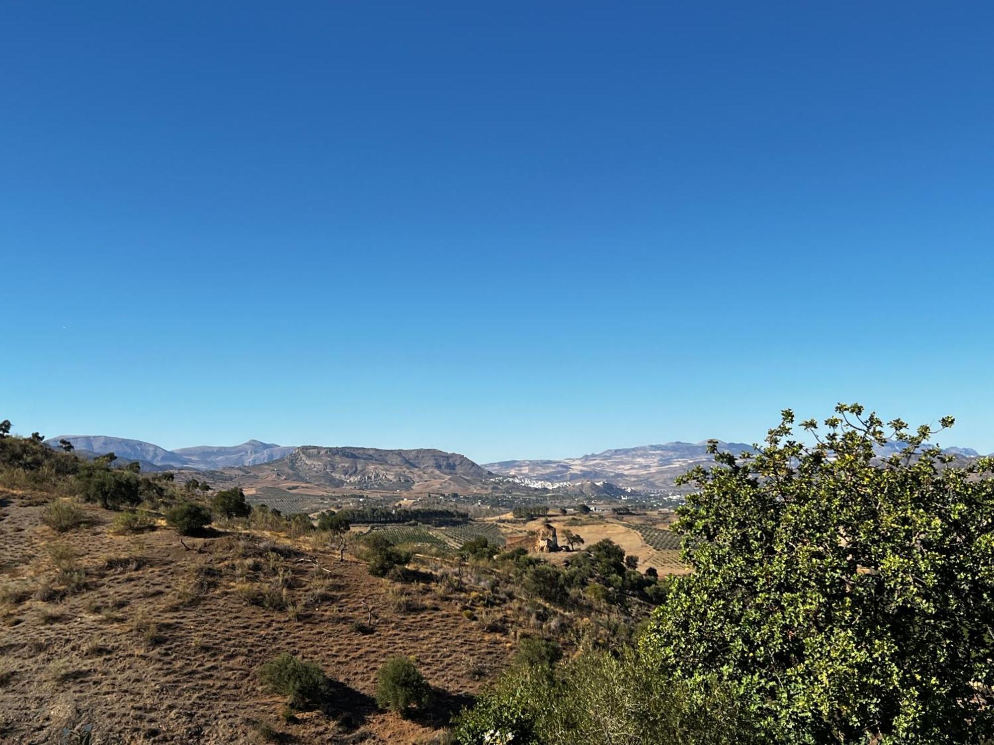 Santa Teresa Bed & Breakfast Andalusien 피자라 외부 사진